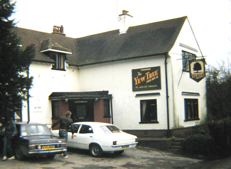 Yew Tree 1982