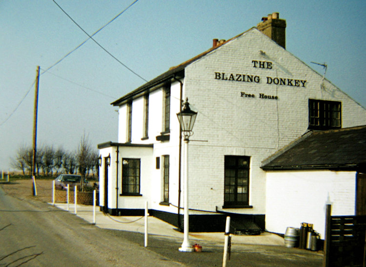 Blazing Donkey 1984