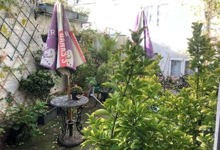 British Lion garden 2025