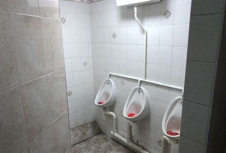 British Lion gents 2025