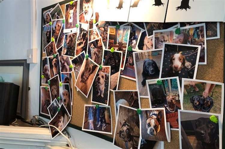 Huntsman and Horn dogs