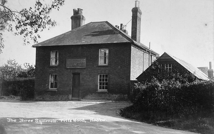 Three Squirrels 1911