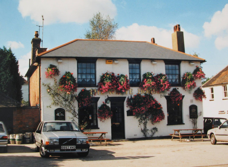White Horse 1995