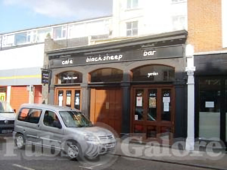 Black Sheep Bar 2009