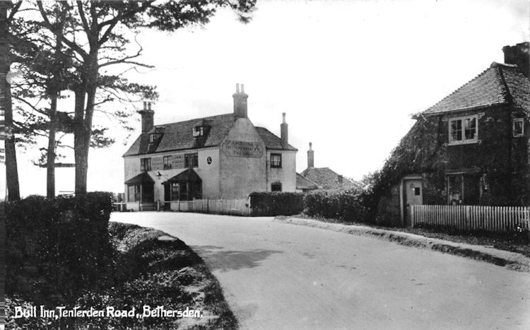Bull 1928