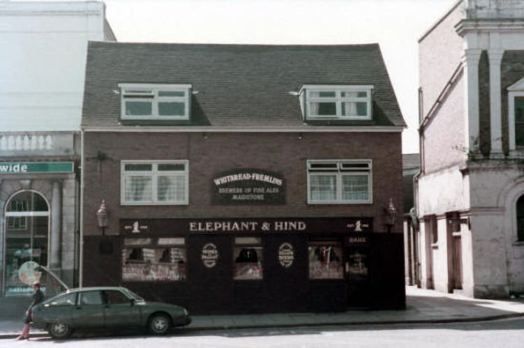 Elephant and Hind 1983