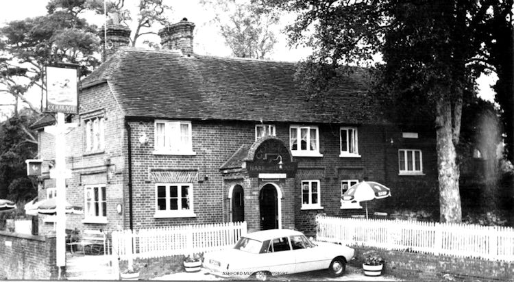 Hare and Hounds