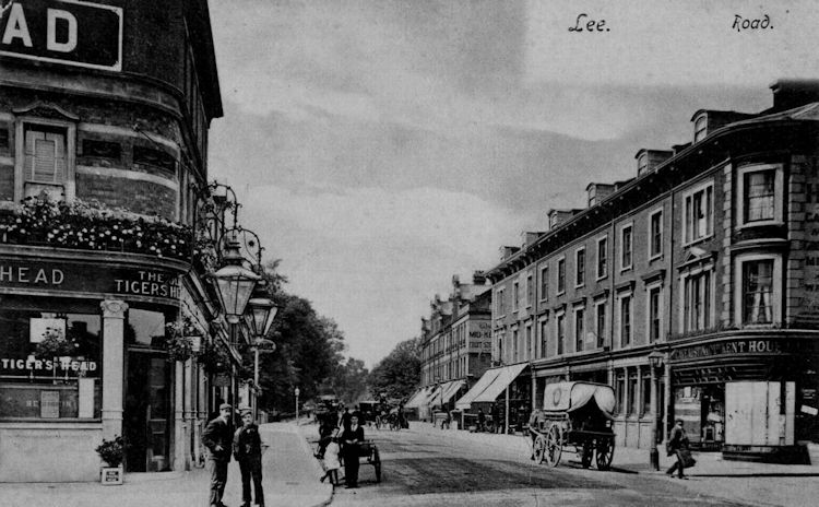 Old Tiger's Head 1909