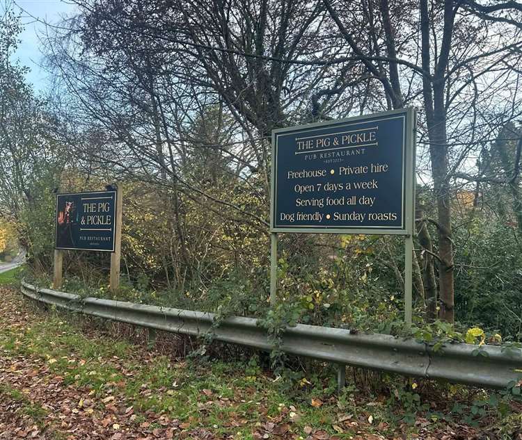 Pig and Pickle signs 2025