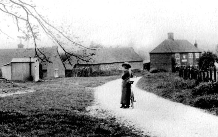 Prince of Wales 1911