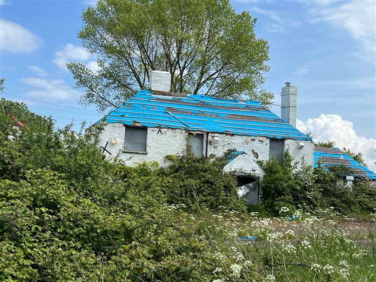 Share and Coulter 2025