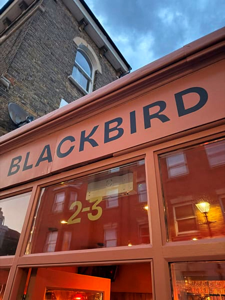 Blackbird 2026