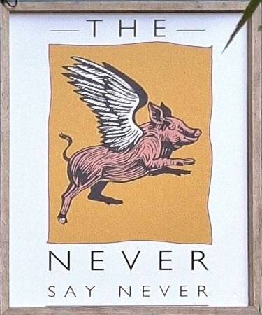 Never say Never sign 2025
