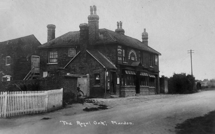 Royal Oak 1911