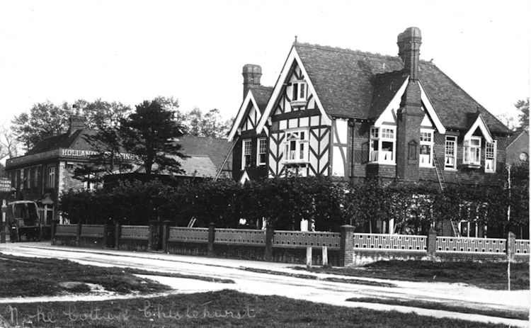 Tiger's Head 1905