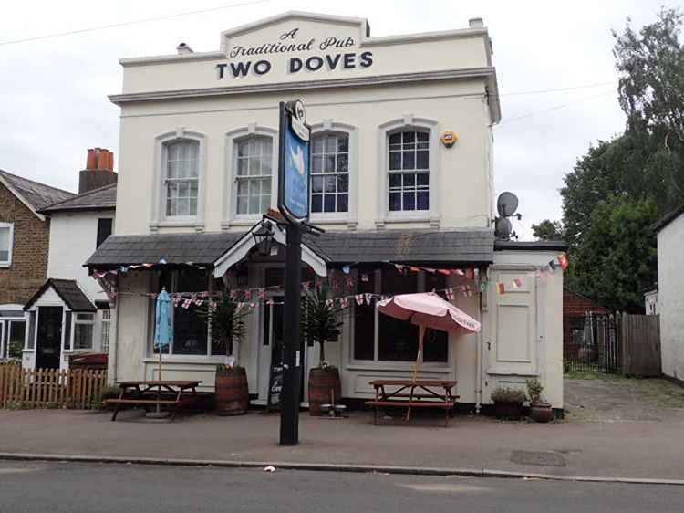 Two Doves 2026