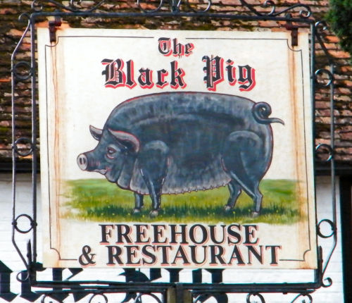 Black Pig sign