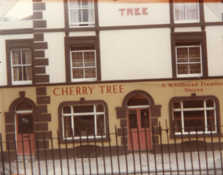 Cherry Tree circa 1980