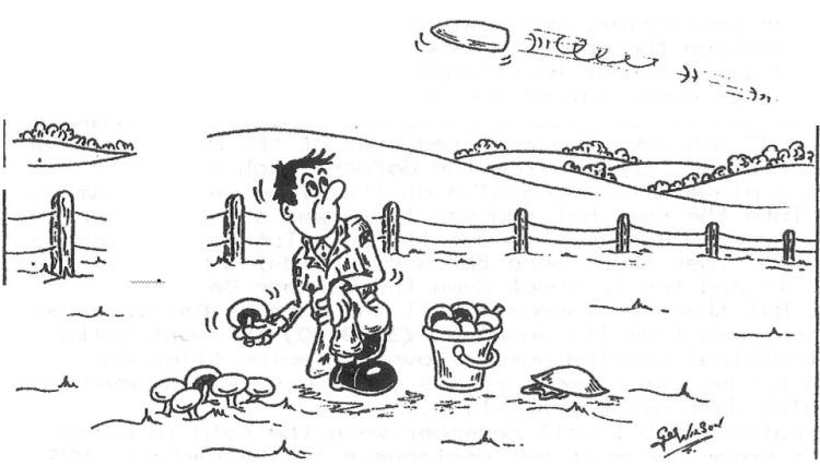 Cartoon from Roy Humphrie's book "Hellfire Corner"