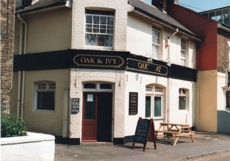 Oak and Ivy 2001