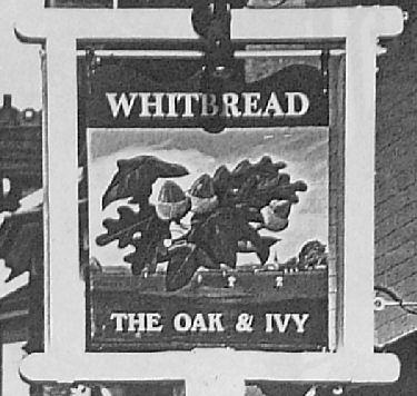 Oak and Ivy sign 1992