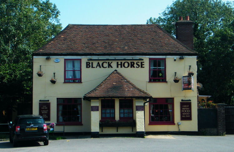 Black Horse 2012