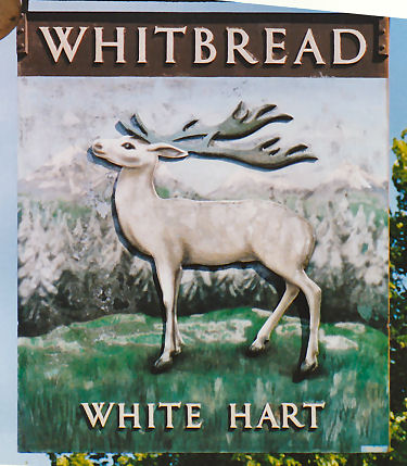 White Hard sign 1991